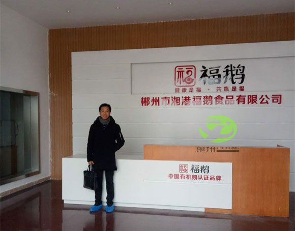 郴州福鹅食品香蕉视频APP污污车间装修工程(图2)