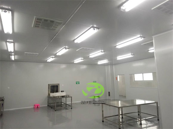 郴州福鹅食品香蕉视频APP污污车间装修工程(图4)